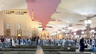 madinah Updates  latest hajj 2024 videos  makkah and madina live  My Hajj 2024 Vlog [upl. by Edora]