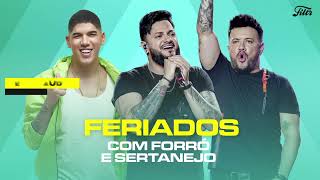 Feriado com Forró e Sertanejo  3 Horas de Forró e Sertanejo [upl. by Nelhsa]