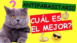 QUÉ ANTIPARASITARIO ES EL MEJOR Para Gatos [upl. by Fennessy]