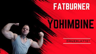 Yohimbine Fatburner und Dauerlatte [upl. by Nylram660]