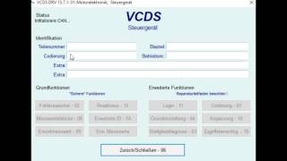 AudiVW auf Steuerkettenlängung Prüfen mit VCDS [upl. by Noned399]