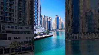 habibicometodubai dubai burjkhalifa traveldestinations burj dubailabour subscribe short ❤️❤️ [upl. by Rozella]