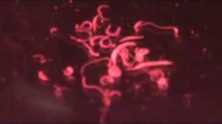 Parasitic Schistosoma haematobium Worms [upl. by Zandt917]