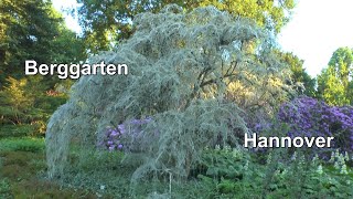 Im großen Garten in Hannover der Berggarten Beete Bäume und Natur in der Stadt entdecken [upl. by Hedy983]