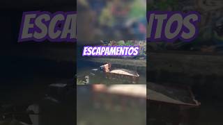 Altura do Escapamento Faz Diferença nos Rios Testamos no GTA 5 🌊🚗 gtav gtaivcompleteedition [upl. by Brenden984]