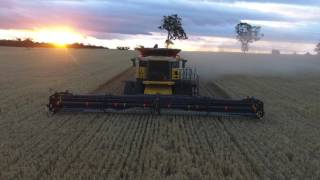 Grain Harvest  Broadacre Farming Western Australia [upl. by Gambell]