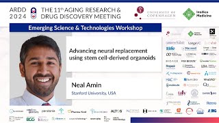 Neal Amin at ARDD2024 Advancing neural replacement using stem cellderived organoids [upl. by Rebmac115]