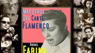 Rafael Farina  De Entre Todas las Mujeres  Fandangos Flamenco Masters [upl. by Boleslaw574]