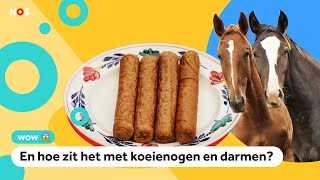 Worden frikandellen echt van paard gemaakt [upl. by Aitercul516]