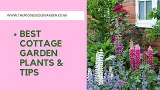 What is cottage garden style  and how to achieve it [upl. by Marielle]