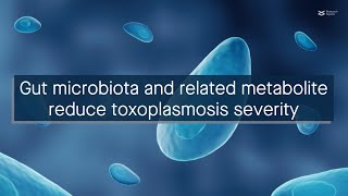 A gut microbial metabolite mitigates Toxoplasma gondiimediated intestinal inflammation [upl. by Hazeefah869]