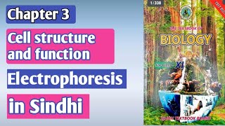 electrophoresis class 11 Class 11 biology chapter 3 cell structure and function [upl. by Farhsa]