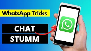 WhatsApp Kontakte amp Gruppen Stummschalten ✅ [upl. by Wallas]