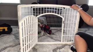 IRIS 24 4Panel Pet Playpen with Door [upl. by Ycnaf678]