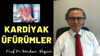 Kardiyoloji Kardiyak Üfürümler Dolaşım Sistemi Serdar Akgün [upl. by Whitebook]