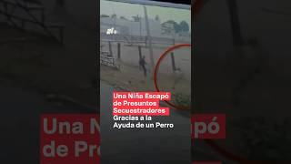 Perro salva a niña de un presunto secuestro nmas puebla shorts [upl. by Nuyh]