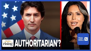 Tulsi Gabbard Defends Jordan Peterson BLASTS Trudeaus Govt As Increasingly Authoritarian [upl. by Ained]