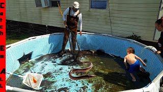 DRAINING POOL FILLED with EXOTIC FISH [upl. by Nnaes]