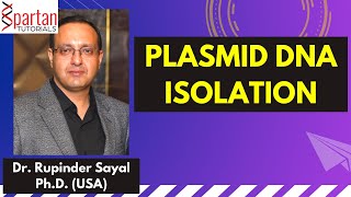 Isolation of Plasmid DNA [upl. by Aziul]