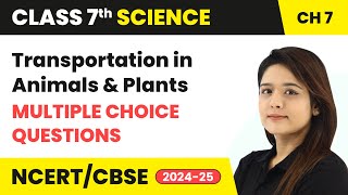 Transportation in Animals and Plants  Multiple Choice Questions  Class 7 Science Ch 7  CBSE 2024 [upl. by Mack]