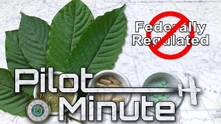 Pilot Minute Why should I be concerned about herbal remedies [upl. by Annaitsirhc]