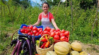 Watch Us Transform Garden Peppers into Amazing Dishes 🌶️👩‍🍳 [upl. by Schaper]