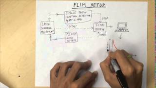 Fluorescence Lifetime Imaging Microscopy FLIM  Overview [upl. by Etneciv]