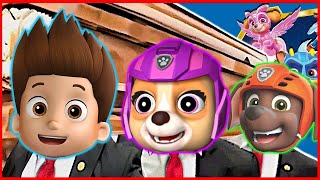 PAW Patrol amp Friends  Coffin Dance Song COVER [upl. by Mathews]