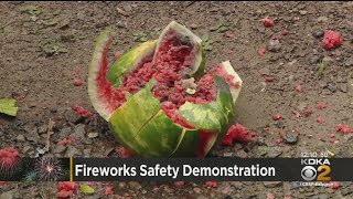 UPMC Mercy Burn Center Holds Fireworks Safety Demostration [upl. by Jemmy232]