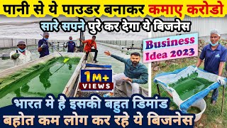 सारे सपने पुरे करेगा ये बिज़नेस😍 पानी से पाउडर बनाकर कमाए करोडो🌏 business ideas  spirulina farming [upl. by Punke]