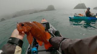 Kayaking for TacosRockfish Catch and Cook [upl. by Nabe]