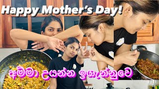 මට උයන්න ඉගැන්නුවෙ අම්මා  Happy Mother’s Day  Lunch prep  Rice and Curry [upl. by Ferrand]