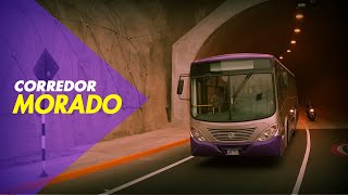 Servicios del Corredor Morado [upl. by Euqimod]