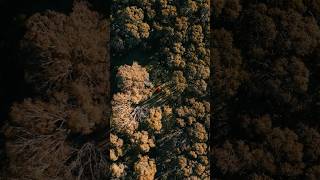 A birds eye view of the Hume amp Hovell hiking hikingaustralia thruhike [upl. by Richman]