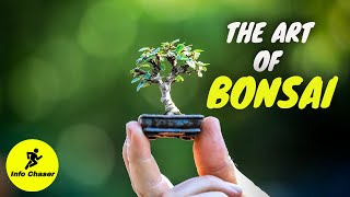 Bonsai trees for beginners  Bonsai tree making  How to make bonsai [upl. by Ronald915]