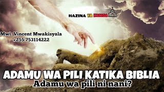 JINSI MUNGU ALIVYOMLETA ADAMU WA PILI Mwl Vincent Mwakisyala [upl. by Zerla]