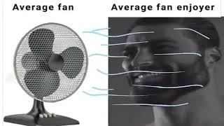 Average Fan vs Average Fan Enjoyer [upl. by Reinhardt121]