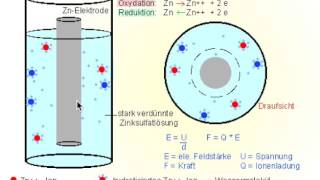 Bildung eines elektrochemischen Potentials vereinfacht [upl. by Dympha864]