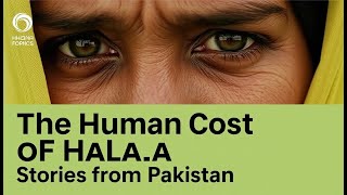 Halala Centers in Pakistan A Closer Look  Is Halala Allowed in Pakistan [upl. by Nochur]