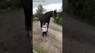 मस्तीखोर horse 🐴 और छोटी बच्ची ने ऐसा kya किया कि ye viral हो गए🥹🙂 [upl. by Pallaten591]