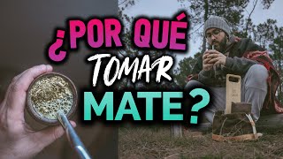 5 RAZONES por qué es BUENO tomar MATE [upl. by Ainnos]