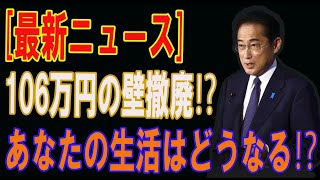 「106万円の壁」崩壊へ！ 年金改革の意図を徹底分析 [upl. by Porush]