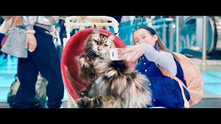 Cat amp Dog – The Great Crossing  Chien et chat 2024  Trailer English Subs [upl. by Anneirb]