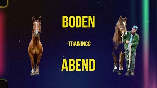 Bodentraining mit Pferd [upl. by Compton447]