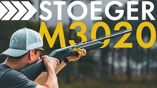 Great or Garbage Stoeger M3020 SemiAuto Shotgun Review [upl. by Atinoj]