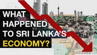 Explainer What Happened to Sri Lankas Economy [upl. by Neeneg]