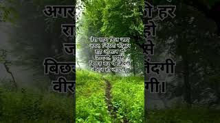 Be Irada Nazar Mil gayi shortsfeed204ytshortsfeed hindisong love music bollywood90severgreen [upl. by Yatnuhs879]