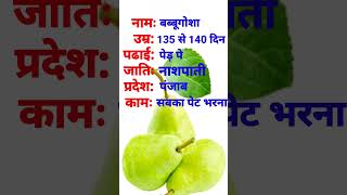 babbugosa ka Parichaybabbugoshanaspati youtubeshorts trendingshorts fruit 🍐🍐🍐🍐🍐🍐 [upl. by Scurlock]