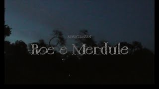 Adergraben  Boe e Merdule Official Music Video [upl. by Ayanet161]