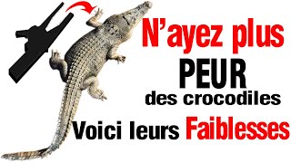 Les crocodiles sont si faibles que tu ny pense Dieu a mis de faiblesses dans chacune de ses créa [upl. by Lustig]